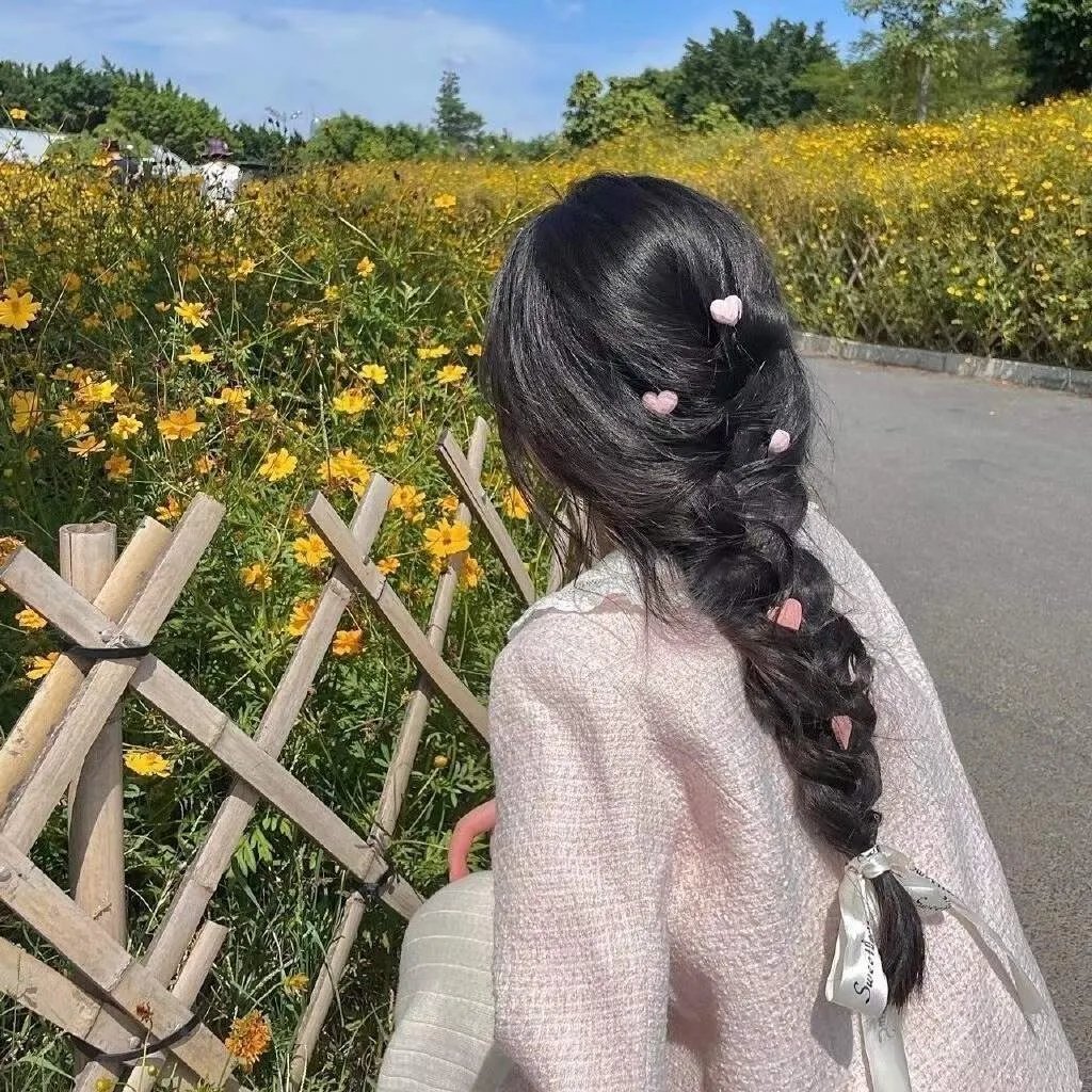 安娜与王子